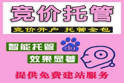 某品牌通过SEM代运营托管公司实现业绩大增